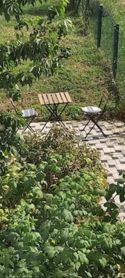 Lovely Appartment With Private Patio And Private Entrance In Luxembourg 60M2 Saeul Ngoại thất bức ảnh